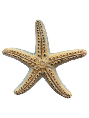 Stella Marina davanti