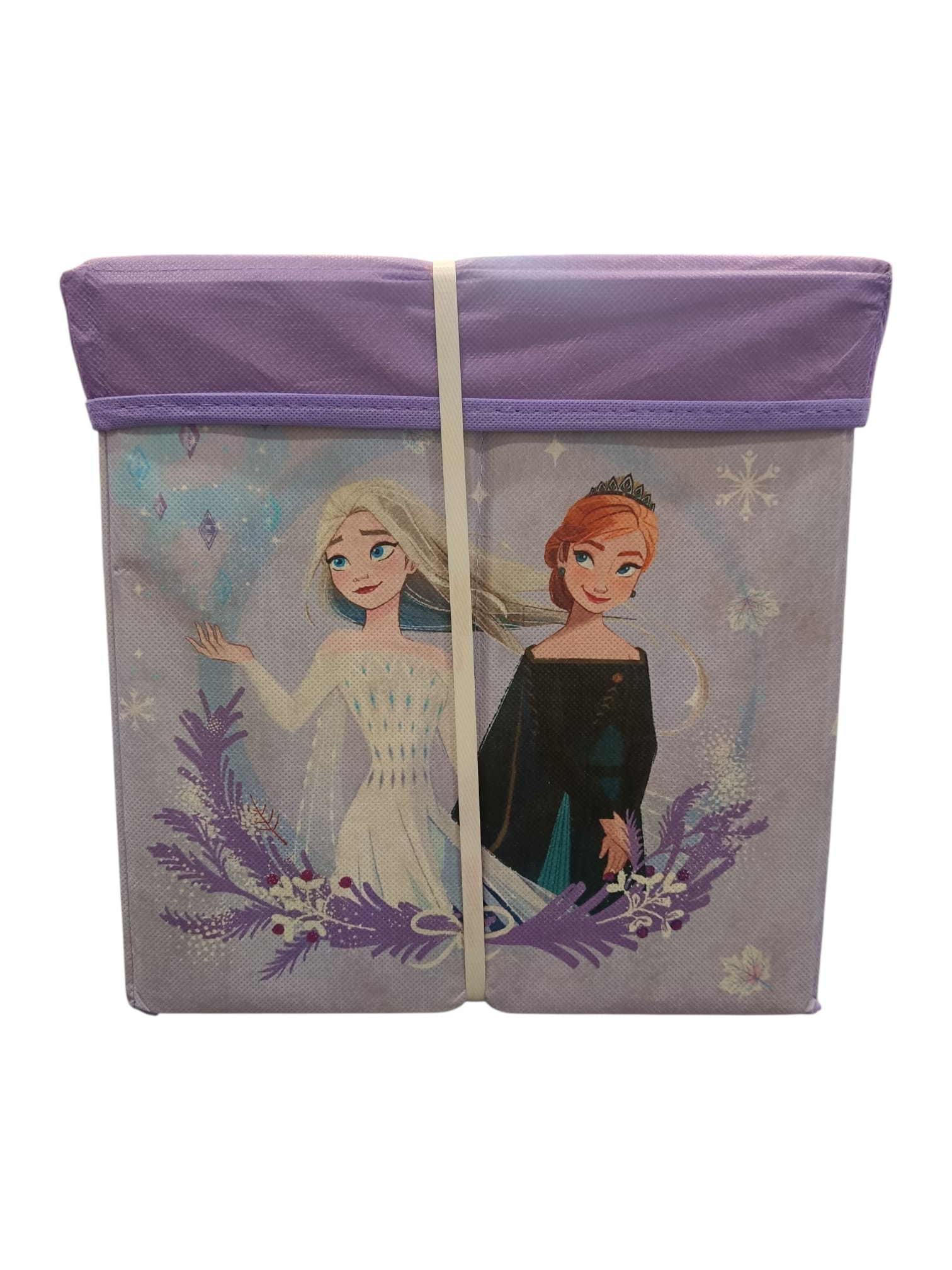 Pouf Disney frozen 5
