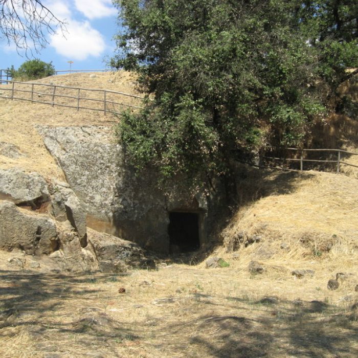 MONTE ALTESINA 10