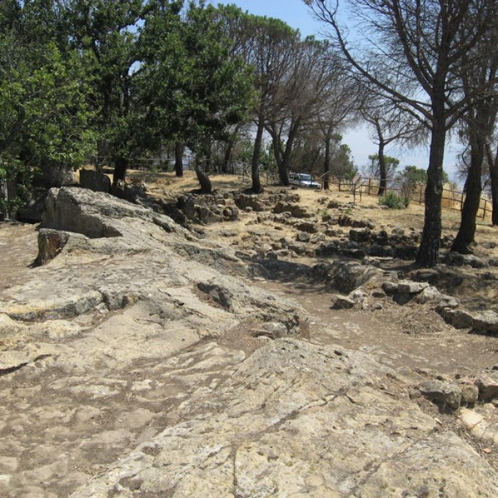 MONTE ALTESINA 11